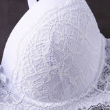 1734917833273ede3e14597ca6dc7ef91d256d70f4_thumbnail_900x.webp